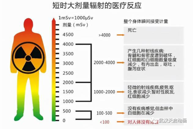 CT檢查